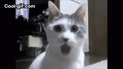 MWlg.gif