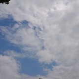 WDREC