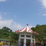 WDSWl