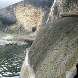WIdIz