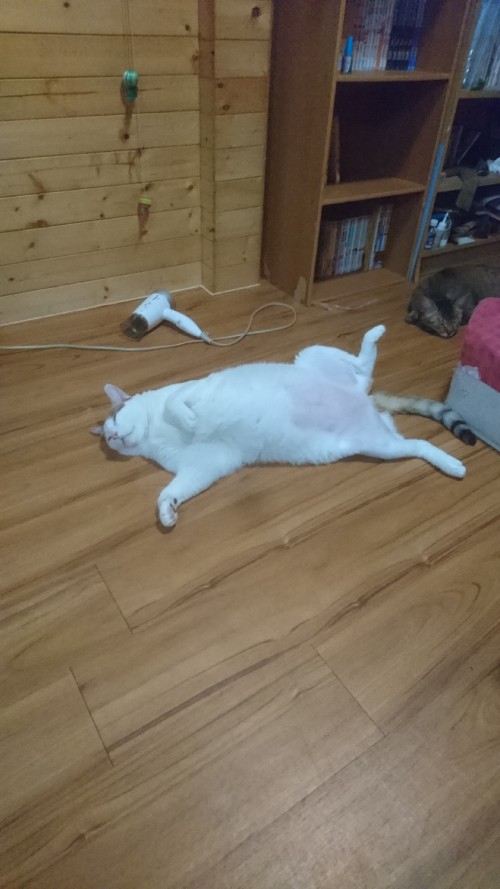YQJbH.jpg