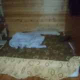 YaGkI