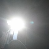 YgMyc