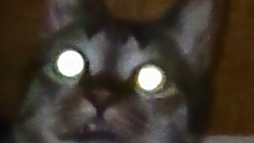 hEgeh.jpg