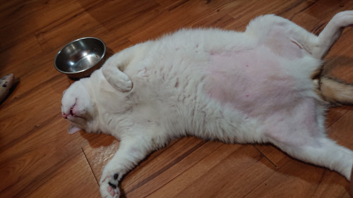 hGJKl.jpg