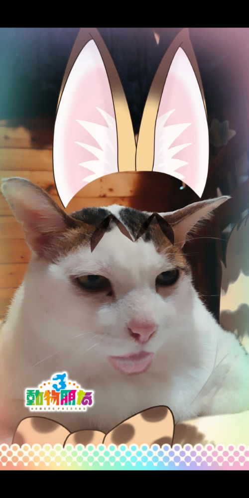 hRnWT.png