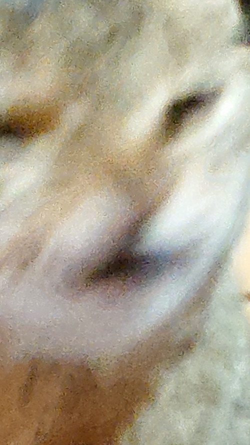 hSe24.jpg