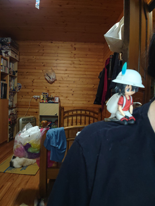 haCse.jpg