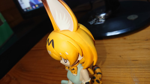 hgDDR.jpg
