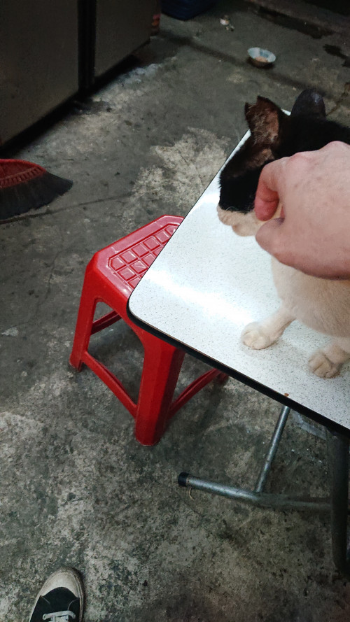 hwUK0.jpg
