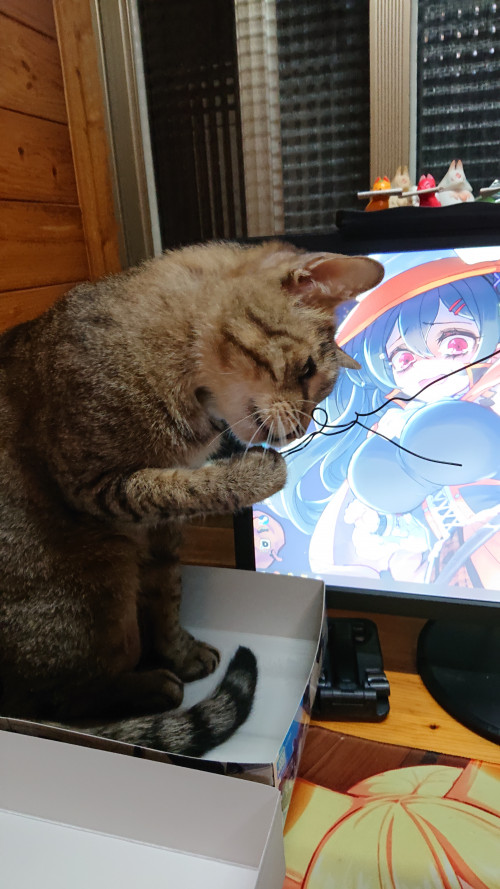i0FaT.jpg