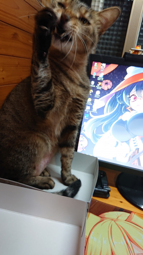 i0PX0.jpg