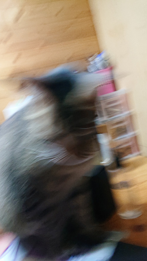 i6K29.jpg
