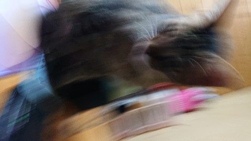 i6xn0.jpg