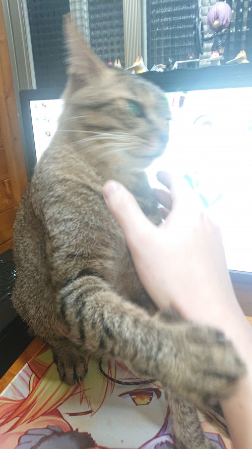 i7Tu4.jpg