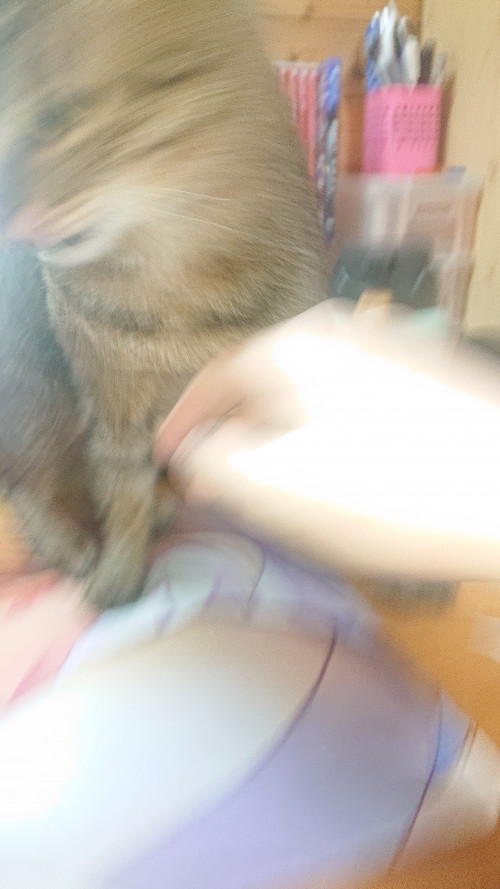 i7ZBz.jpg
