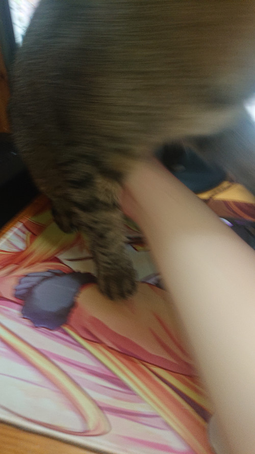 i7rKl.jpg