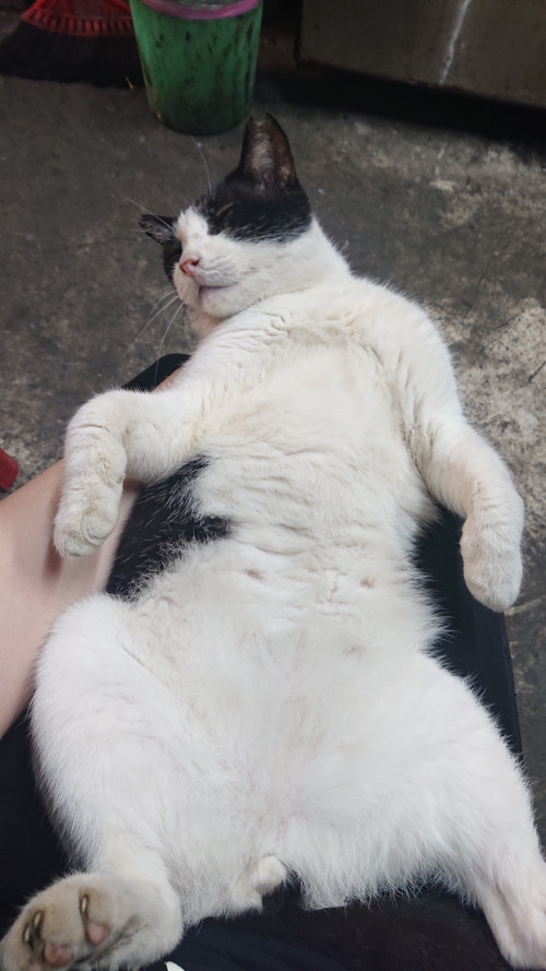 iBNuE.jpg