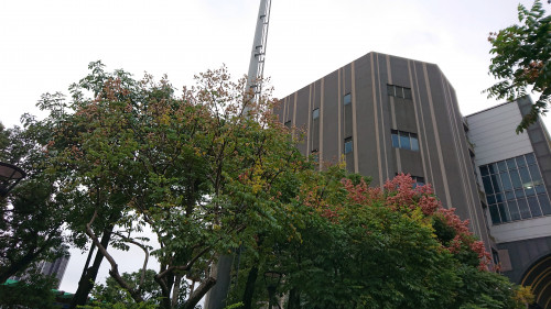 iBQS2.jpg