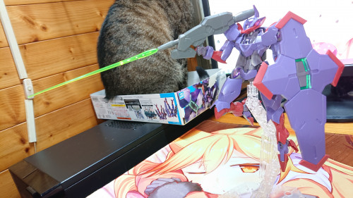 iGf0o.jpg