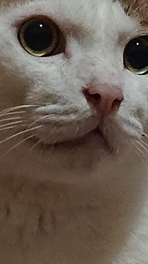 iL8w3.jpg