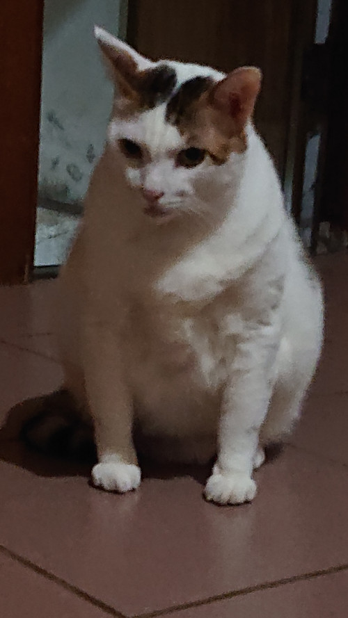 iLxU6.jpg