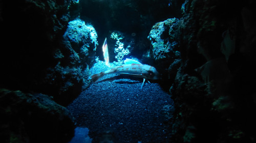 iN5A9.jpg