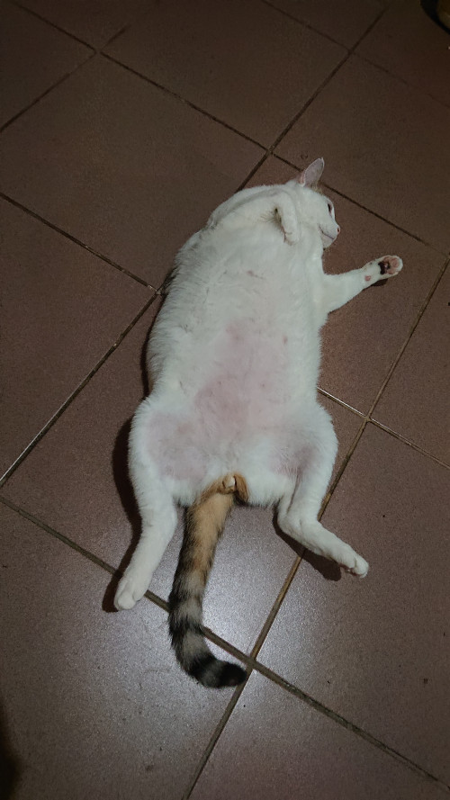 iPJtu.jpg