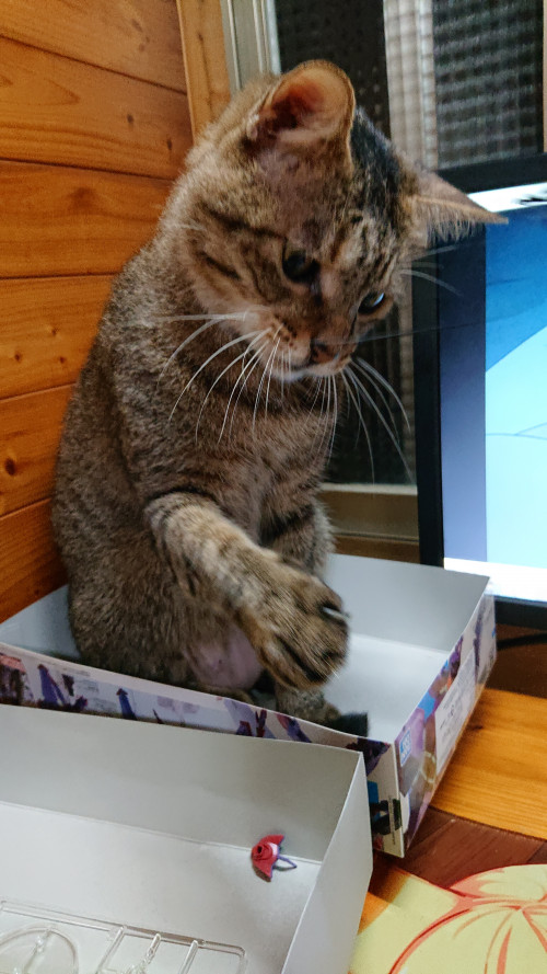 iTOFT.jpg