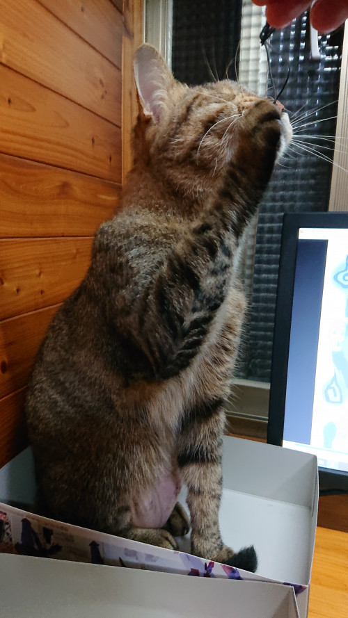 iTx3g.jpg