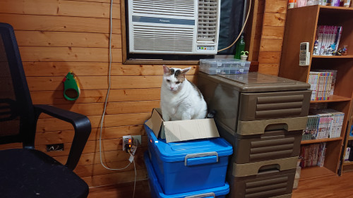iZ88B.jpg