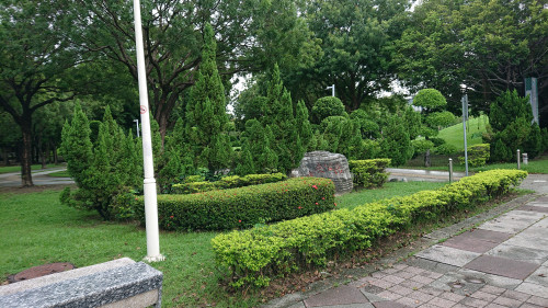 icSp2.jpg