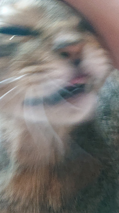 ihNk6.jpg