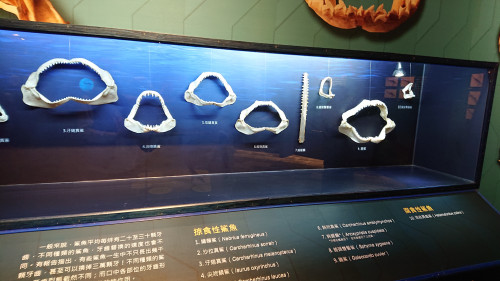 iocY9.jpg