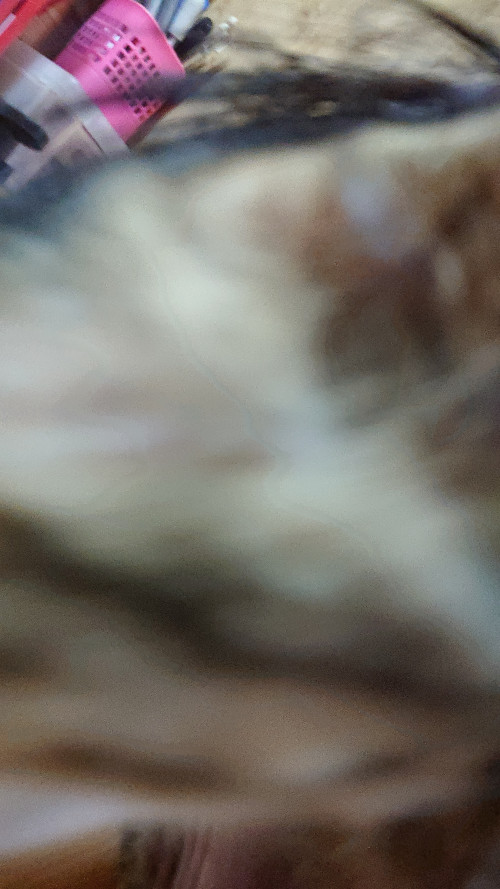 izzlE.jpg