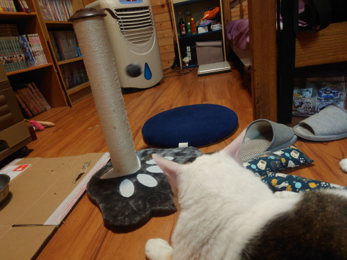 p7wn6.jpg