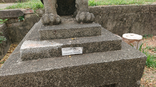 p8bf3.jpg
