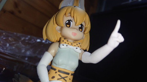pDpKp.jpg