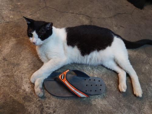 pGXJs.jpg