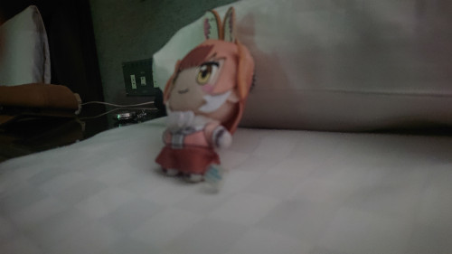 pMUv0.jpg