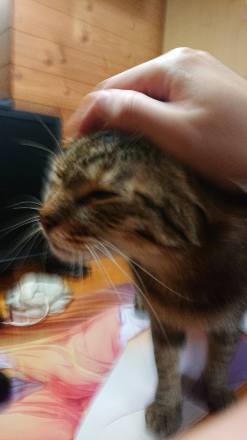 pWkYC.jpg