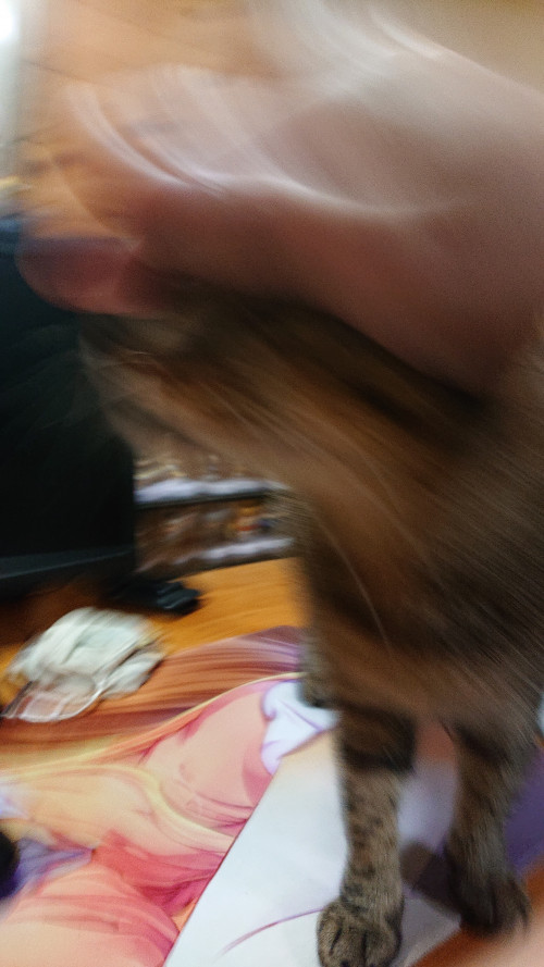 pWqjz.jpg