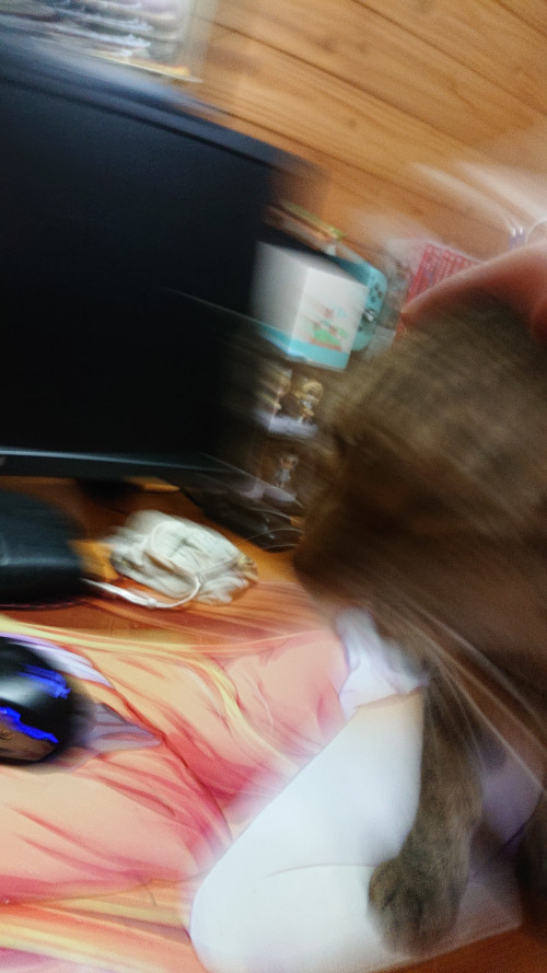 pWtxR.jpg