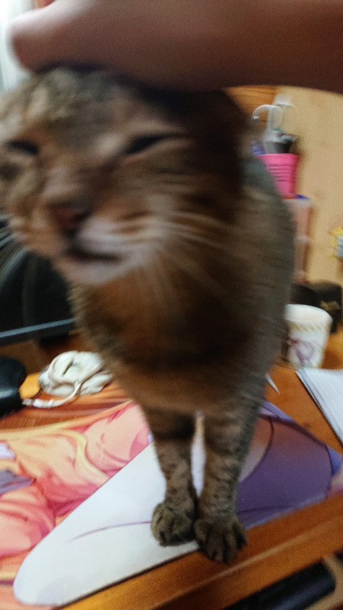 pWuTE.jpg