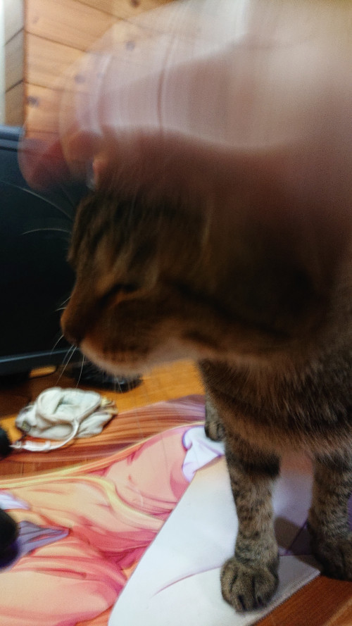 pWxZo.jpg