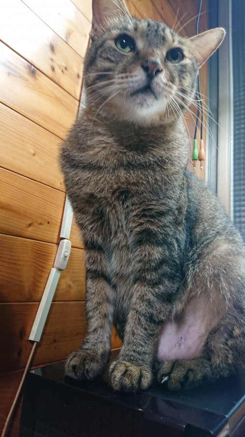 pYEQH.jpg