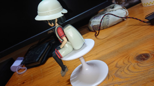 pliNH.jpg
