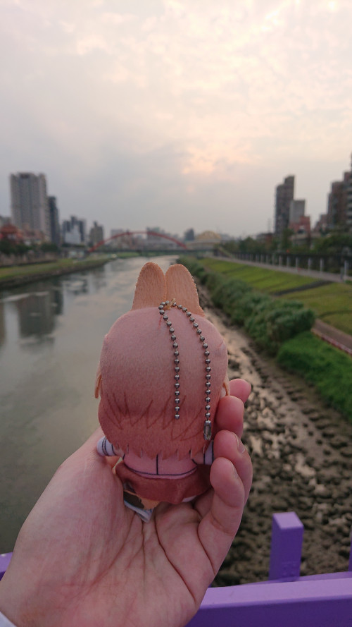 pqyJp.jpg