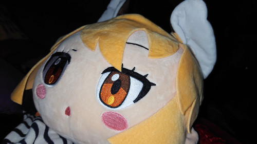 pzs2h.jpg