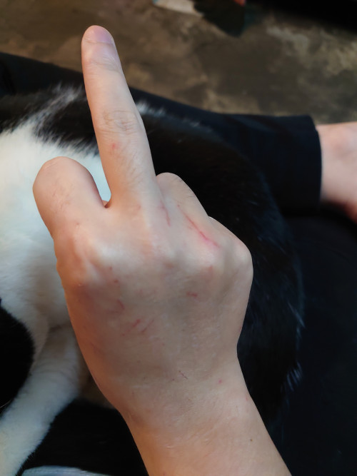 yHzou.jpg